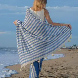 zikaraa Women Striped Saree with Tassels image 3