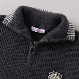 hopscotch Boys Slip-On Textured Sweater image 3