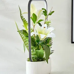 home centre Gloria Spark Artificial Lily in Potted Plant with LED image 3