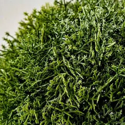 home centre Gloria Ticket Artificial Rosemary Leaves Bush Ball image 3