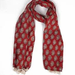 style shoes  Women Cotton Ethnic Printed Stoles image 3