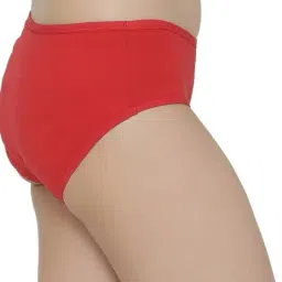 fashion comfortz Women Pack of 6 Briefs Panties with Elasticated Waist image 3