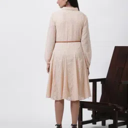 Women Chevron Pattern Fit & Flare Dress with Belt image 4