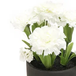 pure home and living Artificial Carnation with Cement Pot image 4