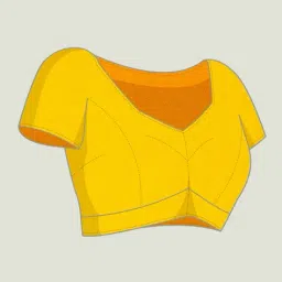 svaraa Women Embroidered Saree with Contrast Border image 4