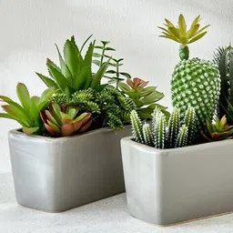 home centre Gloria Tiered Artificial Cactus Potted Plant image 4