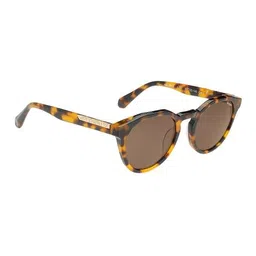 superdry Men Gradient Round Sunglasses-SDS 5012 102 52 S image 4