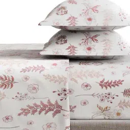 haus & kinder 120 TC Printed King-Size Bedsheet with Pillow Covers image 4