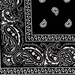 aadishwar creations Men Paisley Bandana image 5