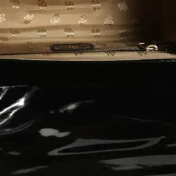 fig Women Embellished Sling Bag with Detachable Strap image 5