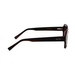 ted smith Men Wayferers Sunglass image 5