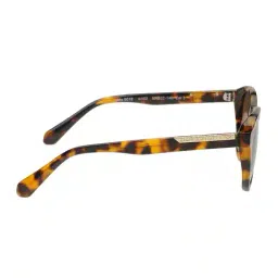 superdry Men Gradient Round Sunglasses-SDS 5012 102 52 S image 5