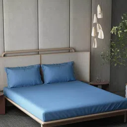 ddecor live beautiful Cotton Single Bedsheet with 2 Pillow Cover image 1