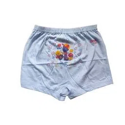 gialon Cotton Boxer Briefs-picture-18