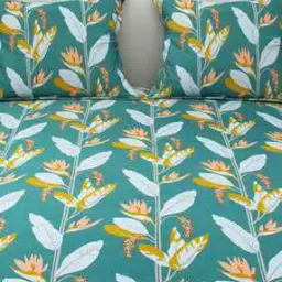 dream care Double Size Bedsheet With 2 Pillow Covers    -picture-13
