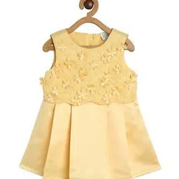 miniklub Fit & Flare Dress with Floral Applique-picture-38