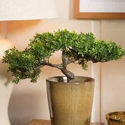 pure home and living Porcelain Pot-picture-20