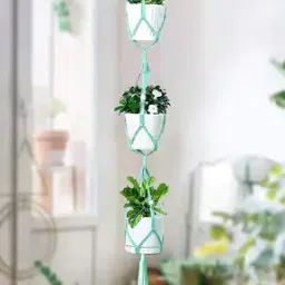 homesake Set of 2 Macrame Plant Hangers-picture-53