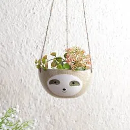aapno rajasthan Porcupine Hanging Planter-picture-51
