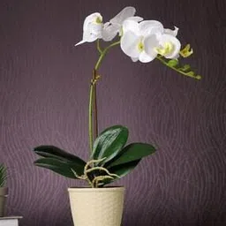 tayhaa Orchid Artificial Plant with Pot-picture-38