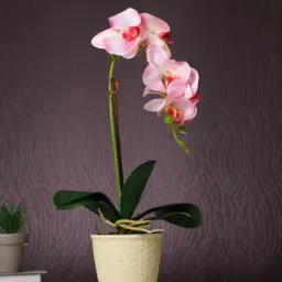 tayhaa Orchid Artificial Plant with Pot-picture-16