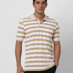 peter england Men Striped Polo Neck T-shirt-picture-14