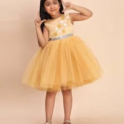 toy balloon kids Girls Floral Fit and Flare Dress-picture-35