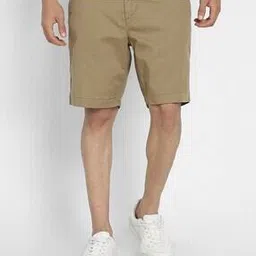 american eagle Men Mid Rise Regular Fit Shorts-picture-18