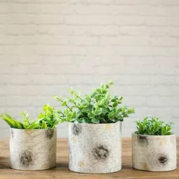 behoma Set of 3 Cylindrical Planters-picture-27