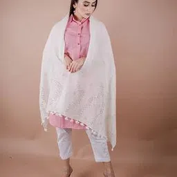 shawkh Women Embroidered Stole with Tassels-picture-30