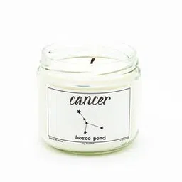 aromaticfables Bosco Pond Scent Glass Jar  Candle-picture-24