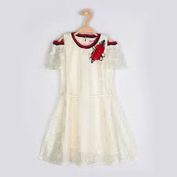 peppermint Lace Fit & Flare Dress-picture-37