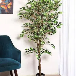 home bloom Artificial Ficus Plants with Pot for Interior Decor -picture-20