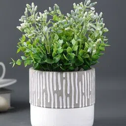 tayhaa Striped Indoor Planter-picture-42