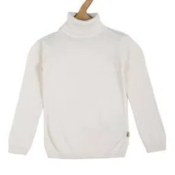 allen solly Sweatshirt with Turtle-Neck-picture-25