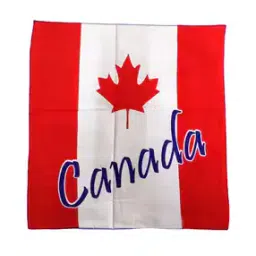 navkar crafts Cotton Paisley Bandanas-picture-10