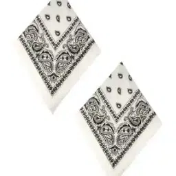 navkar crafts Men Pack of 2 Paisley Print Bandanas-picture-24