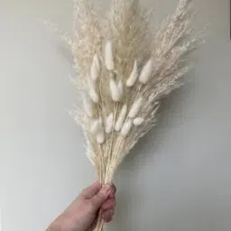 arte casa  Fresh and Elegant Flowers Naturally Dried Stems For Home  -picture-47