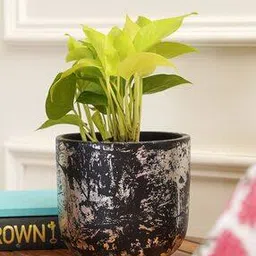 purezento Century Silver Terracotta Planter-picture-43