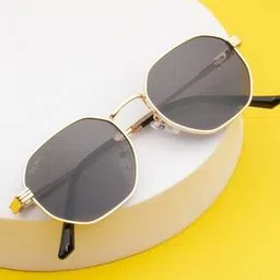 ted smith Men Full-Rim Round Sunglasses-COSMO-C2-picture-14