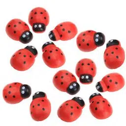 tayhaa Set of 14 Shinny Beetle Garden Toys-picture-45