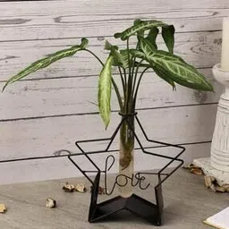 the decor mart Love Testube Planter-picture-37