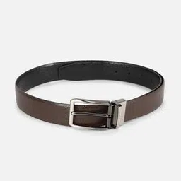 simon carter Men Reptilian Pattern Reversible Belt-picture-15