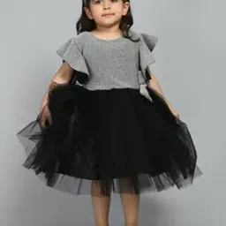 bella moda Embellished Fit & Flare Dress-picture-41