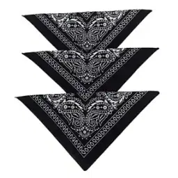 aadikart Unisex Pack of 3 Paisley Scarves-picture-36