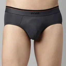 pivot Pack of 2 Men Regular Fit Briefs-picture-31
