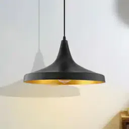 homesake Metal Hanging Ceiling lighting Lamp-picture-42