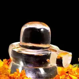 navyaksh Pure Sphatik Crystal Shivling-picture-18
