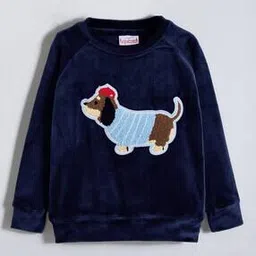 hopscotch Boys Regular Fit Round-Neck Sweatshirt-picture-32