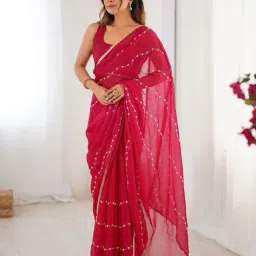 leeli peeri designer Women Embroidered Saree with Contrast Border image 1